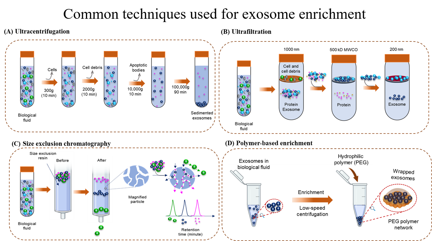 AST-2025-017_R1_P_Graphical Abstract_001.png